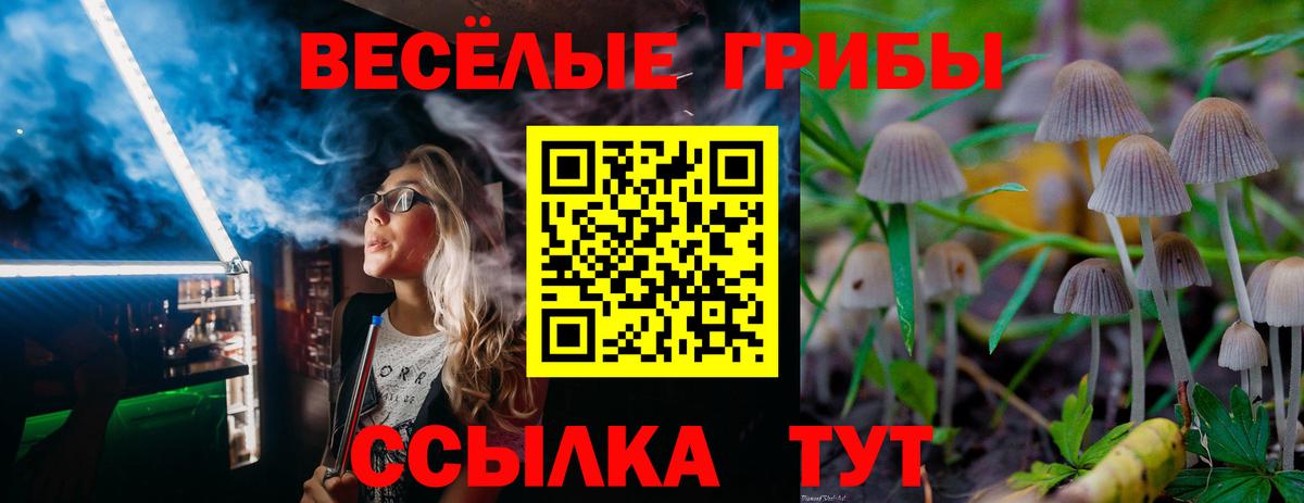 Моршанск  Псилоцибиновые грибы мицелий  Вход с VPN  Псилоцибиновые грибы MAGIC MUSHROOMS 